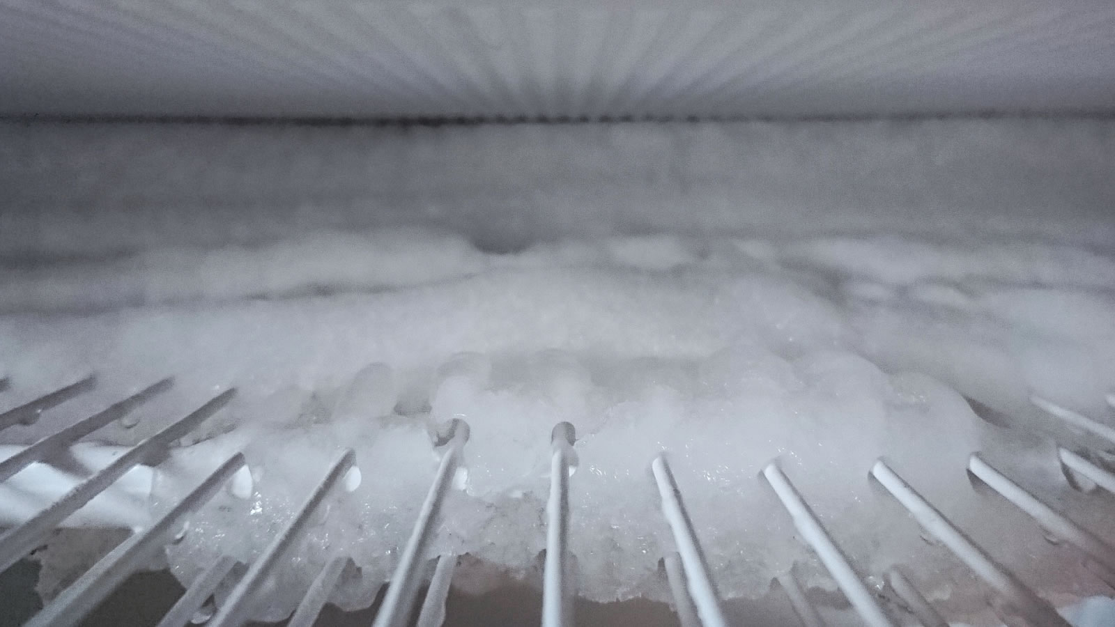 Freezer interior with heavy frost buildup on the evaporator coils and wire shelving, showing signs of a blocked defrost drain.