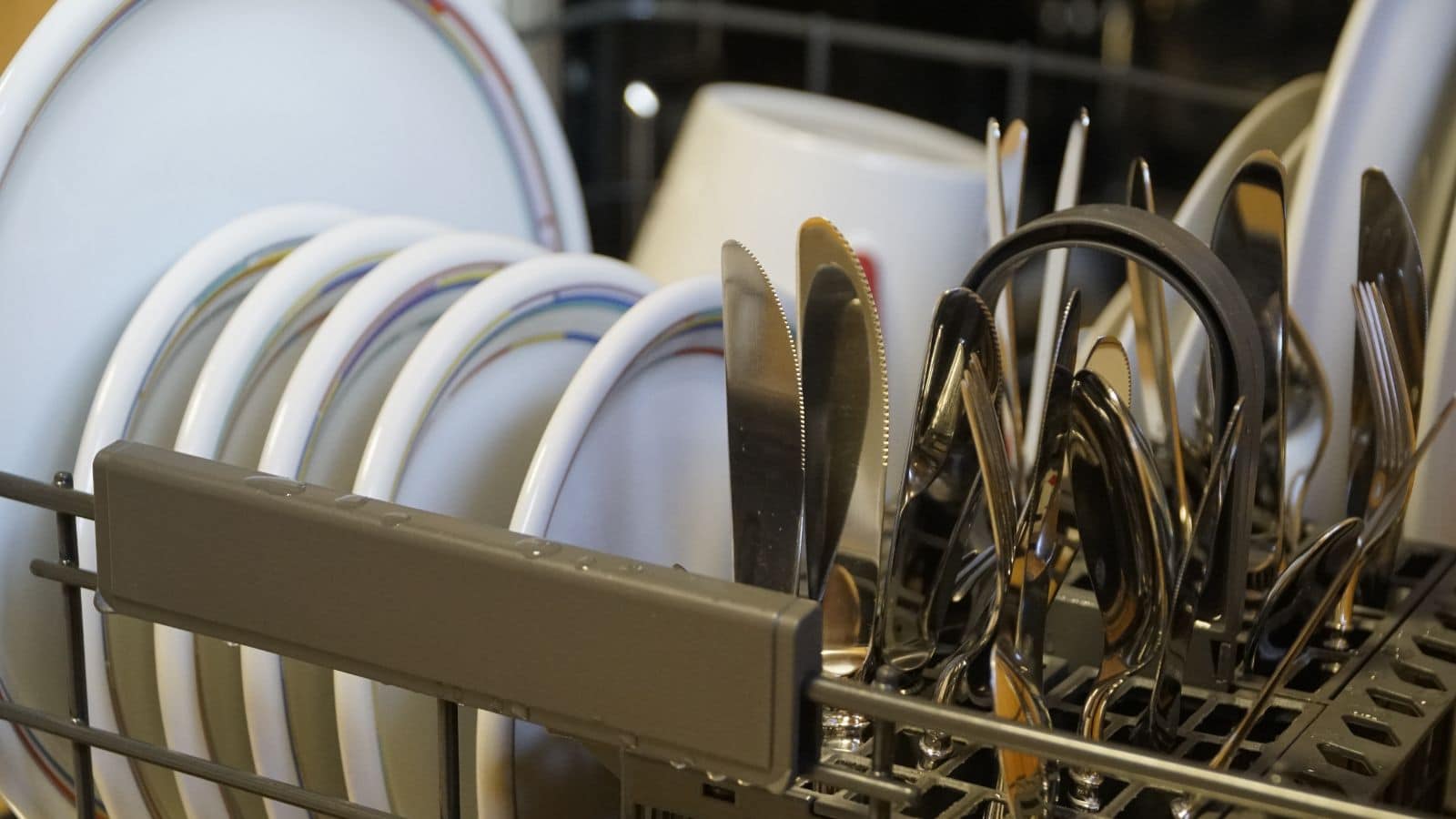 Organized and Dishwasher Care.