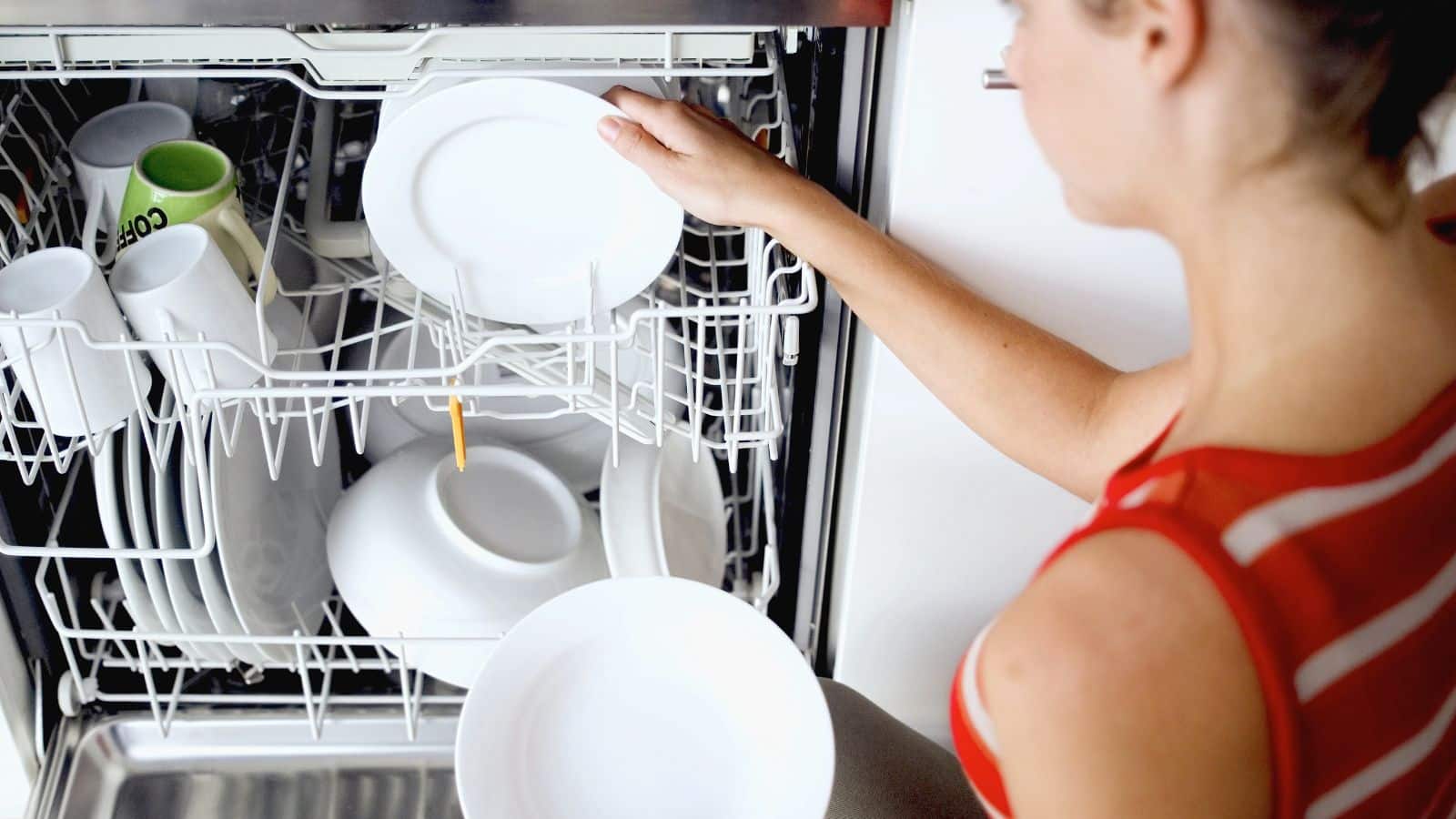 The Do's of Dishwasher Cares