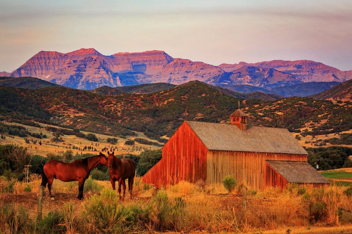 Appliance repair in Heber Valley, Utah